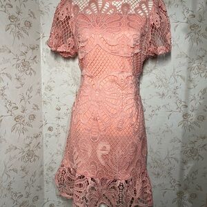 SHEIN Blush Lace Mini Dress